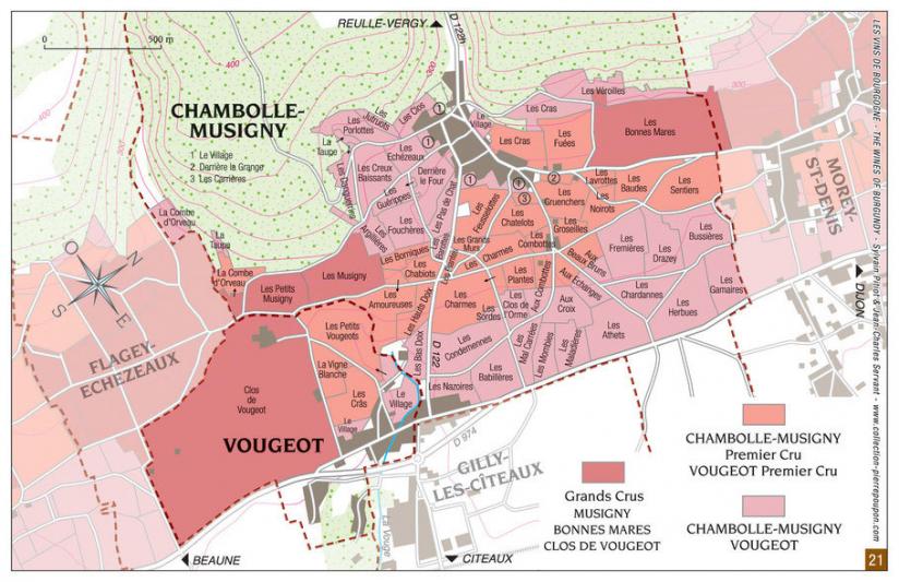 Carte du vignoble de Chambolle-Musigny, par S.Pitiot et JC Servant