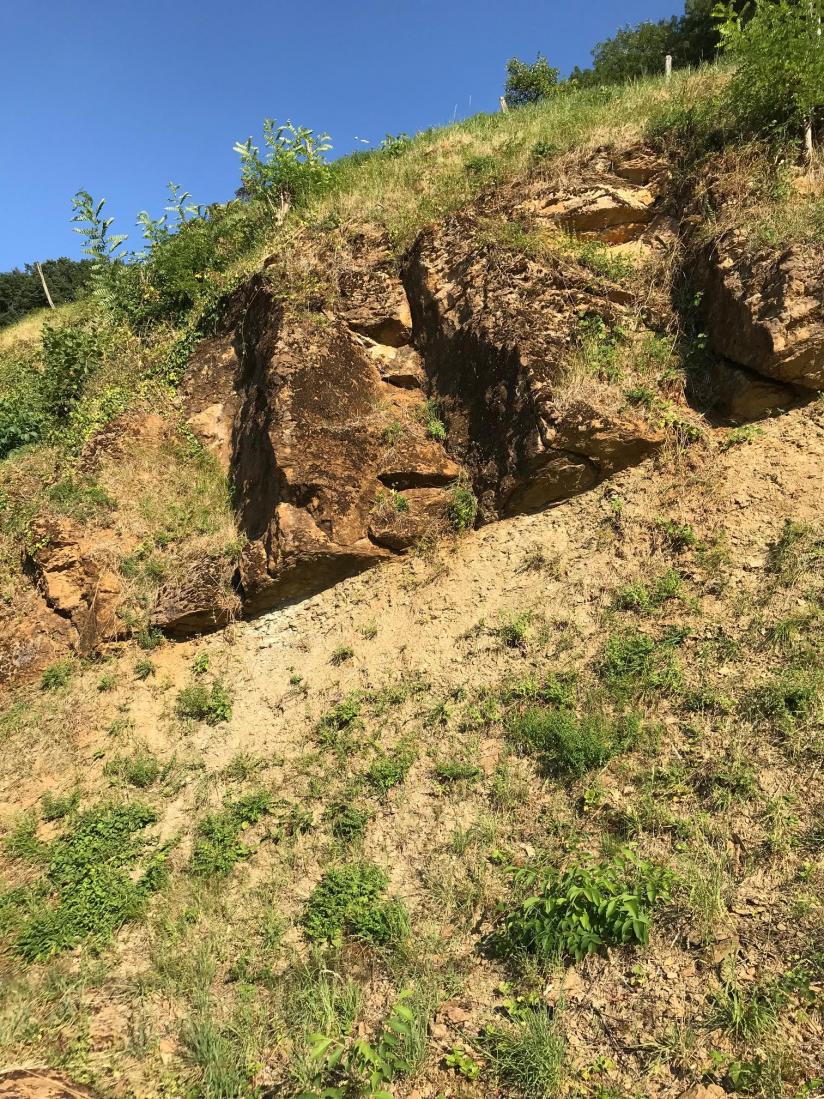 Roche du calcaire Bajocien près de Montigny-les-Arsures (Jura), photo Julien Marron 2018