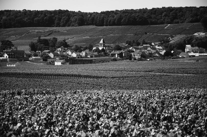 Eglise et coteaux d'Avize