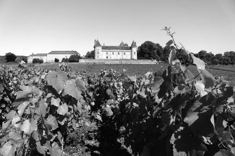 Castle vineyards
