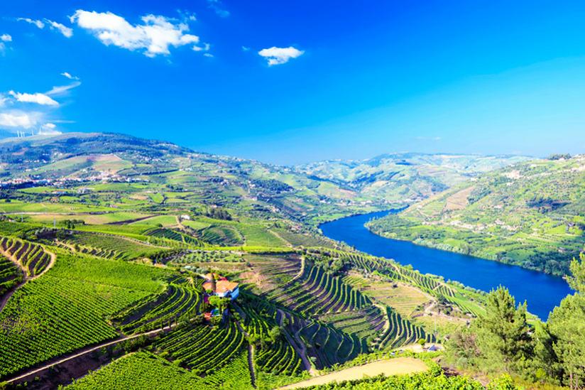 Panorama de la vallée du Douro D.R.